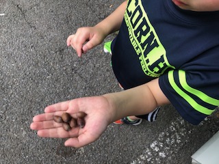 ボールに触れてみよう。