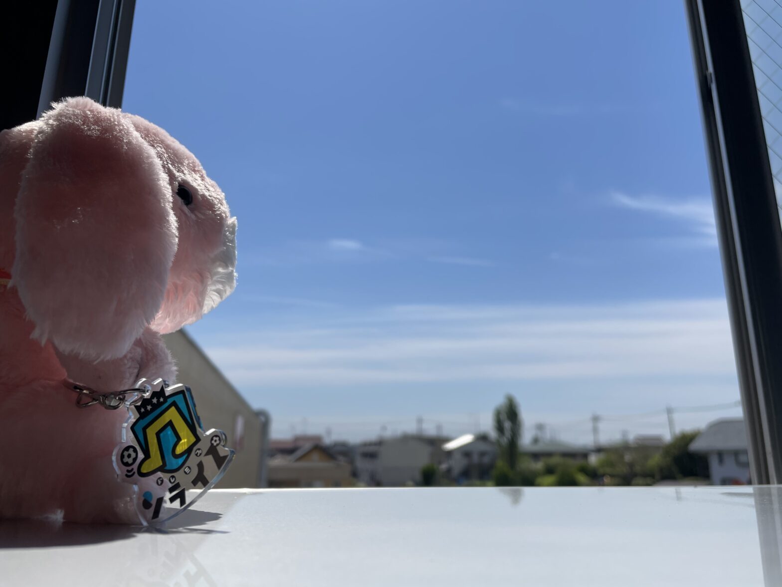 見学！！